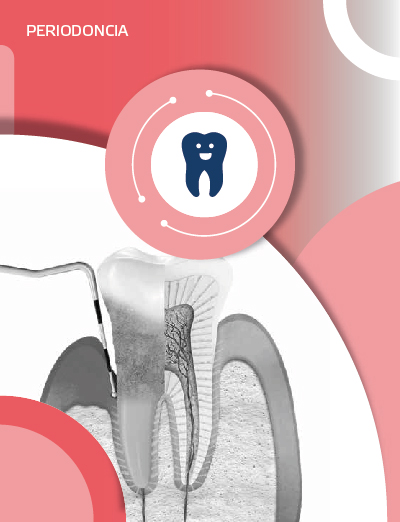 Catálogo de Periodoncia