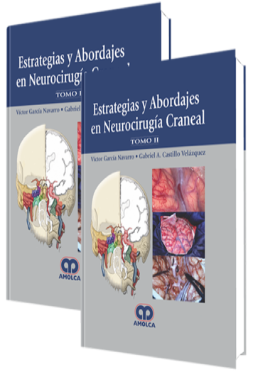 Estrategias y Abordajes en Neurocirugía Craneal