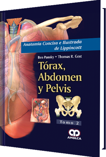Anatomía Concisa e Ilustrada de Lippincott  Tórax, Abdomen y Pelvis Tomo 2